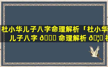 杜小华儿子八字命理解析「杜小华儿子八字 🐘 命理解析 🦈 视频」